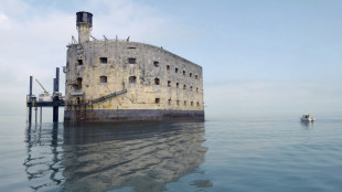 "Sauvons le Fort Boyard": concertation publique avant des travaux à 44 M EUR