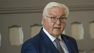 Bundespräsident Steinmeier reist zu zweitägigem Besuch nach Prag