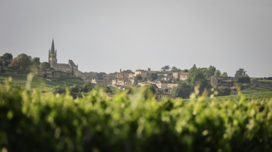 Hunderttausende Flaschen Billigwein als Bordeaux verkauft