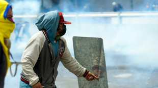 Ecuadoran Indigenous protester dies in anti-government demos 