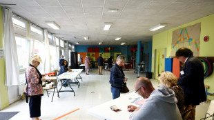 Jour J pour les législatives, les bureaux de vote ouvrent en métropole