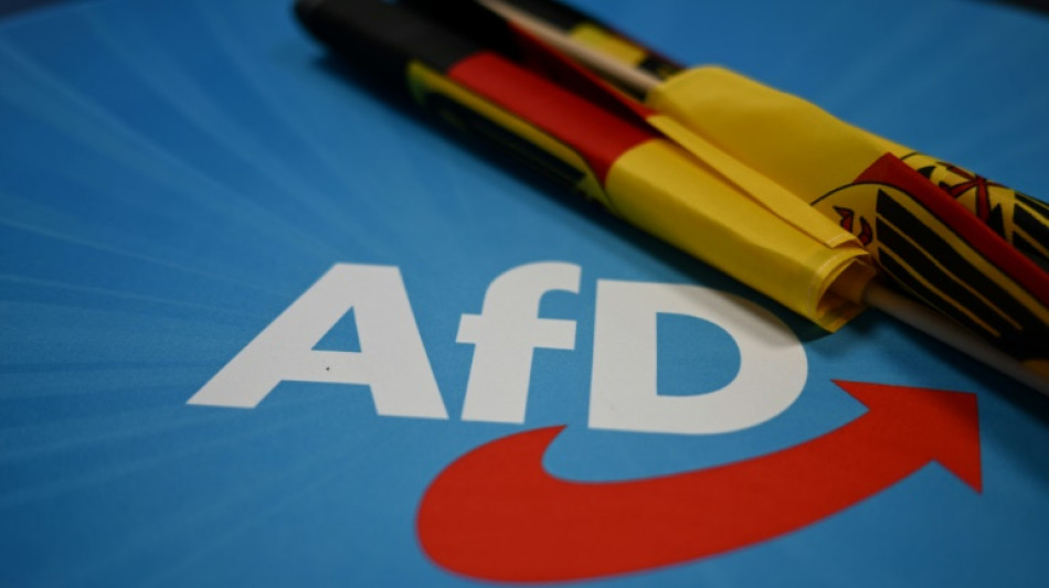 AfD im "Politbarometer" erstmals seit November 2023 wieder mit leichtem Zugewinn