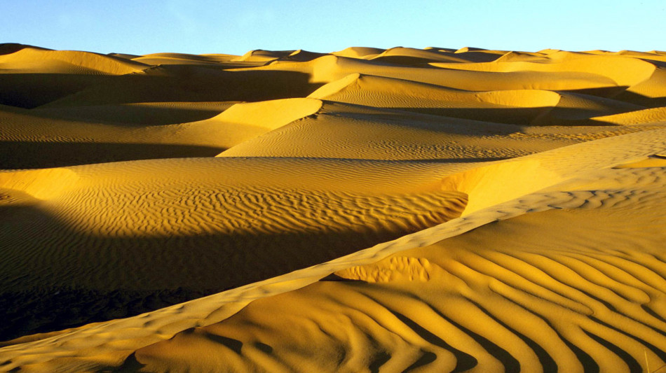 La sabbia del Sahara fa fiorire la vita nell'oceano Atlantico