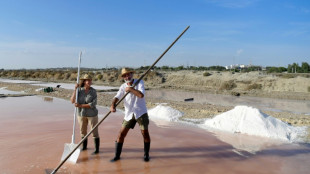 Dans la baie de Cadix, des salins millénaires retrouvent la lumière