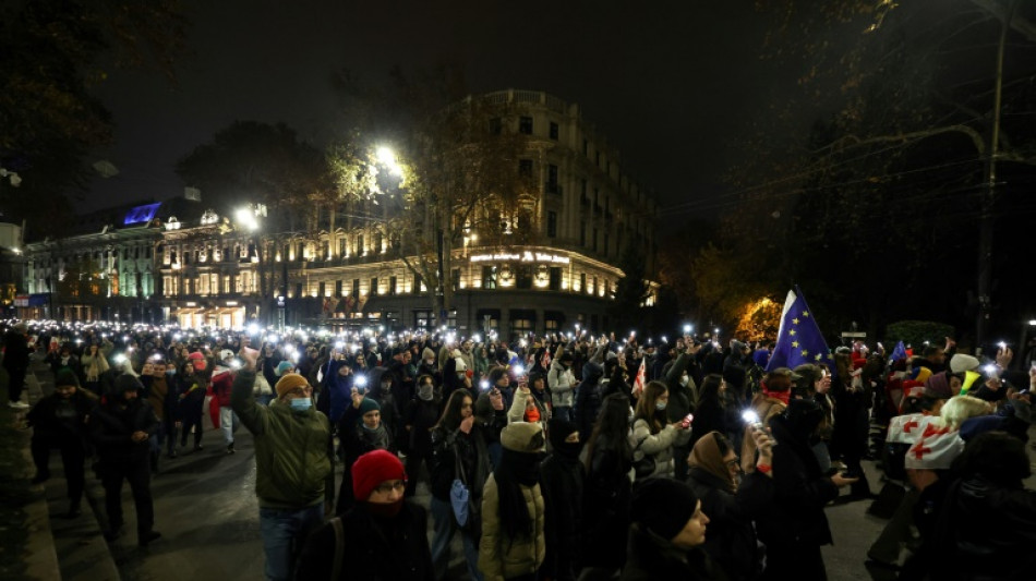 Regierungsgegner in Georgien setzen nach dutzenden Festnahmen Proteste fort 