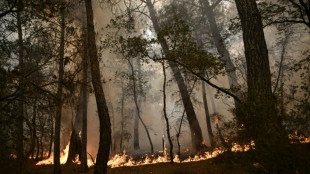 Incendies en Grèce: le manque de prévention pointé du doigt