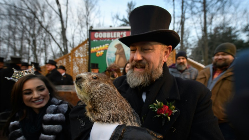 Punxsutawney Phil predicts six more weeks of winter in US