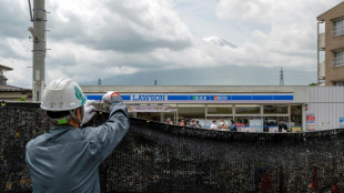 Agujerean la barrera colocada para bloquear una turística vista del monte Fuji en Japón