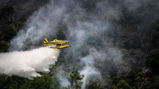 L'Europe occidentale encore aux prises avec les incendies sous les effets de la canicule