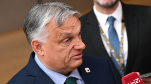 "Schande" und "Koalition der Lügen": Orban kritisiert Einigung auf EU-Spitzenposten