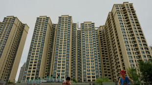 China developer Evergrande files for bankruptcy protection