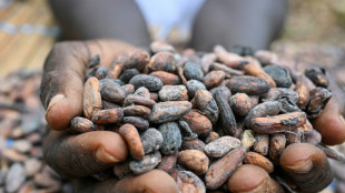 Who profits from the soaring price of cocoa?