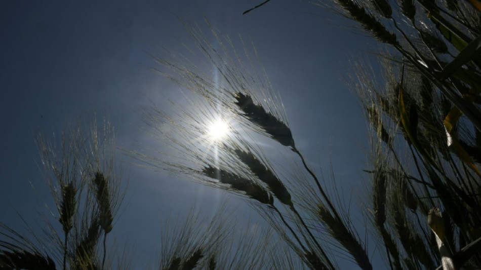 La canicule devrait frapper le sud lundi puis monter vers le nord