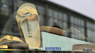 Birkenstock to target $8.6 bn IPO valuation: media reports