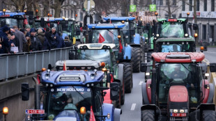 Tractors block Brussels roads in farmer protest