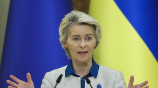 Von der Leyen, 'attacco Iran minaccia stabilità regione'