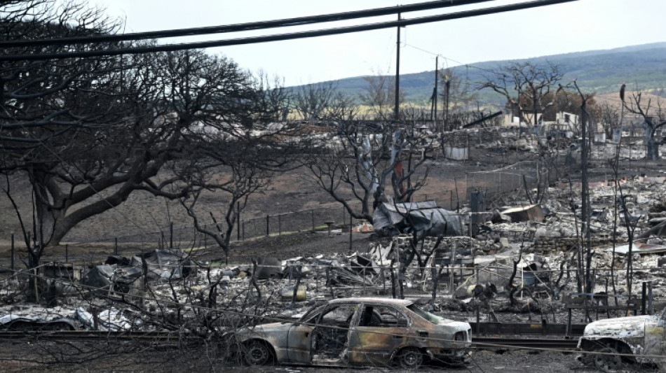 Condado de Maui demanda compañía eléctrica por letal incendio en Hawái