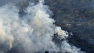 Algérie: le bilan des incendies dans plusieurs villes monte à 26 morts