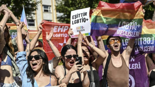 Turquie: marche des fiertés éclair à Istanbul, une dizaine d'arrestations