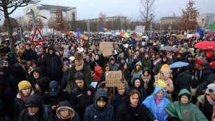 Bundesinnenministerium: 480.000 Teilnehmer bei Demos gegen rechts am Wochenende