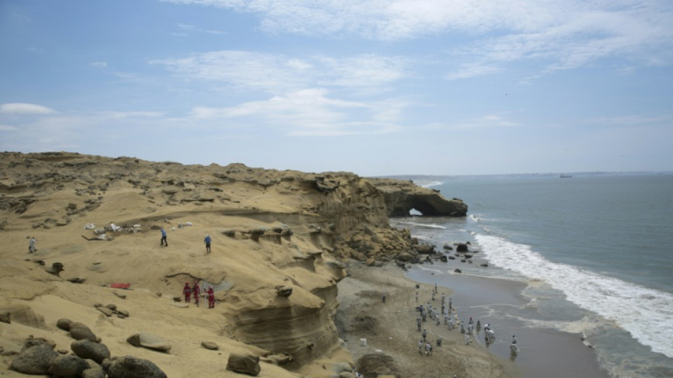 Perú declara "emergencia ambiental" por un derrame de petróleo en el mar