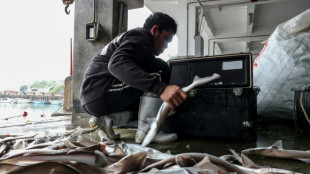 L'île Kinmen de Taïwan vit "comme d'habitude" malgré les exercices chinois