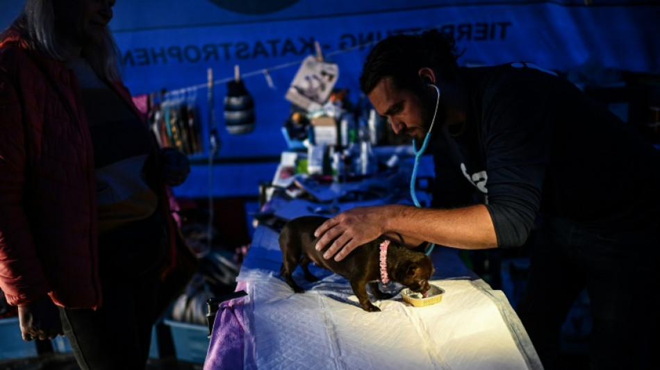 En la frontera ucraniana, ayudando a los refugiados a cuidar de sus animales