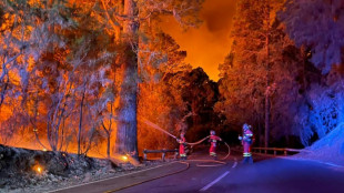 Spain firefighters make gains in battle against Tenerife blaze