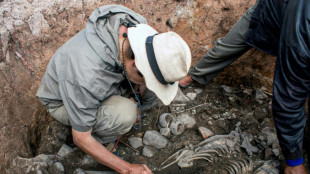 Ancient priest's remains are a first-of-a-kind find for Peru team