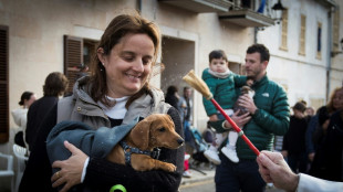 España aprueba una ley contra el maltrato animal