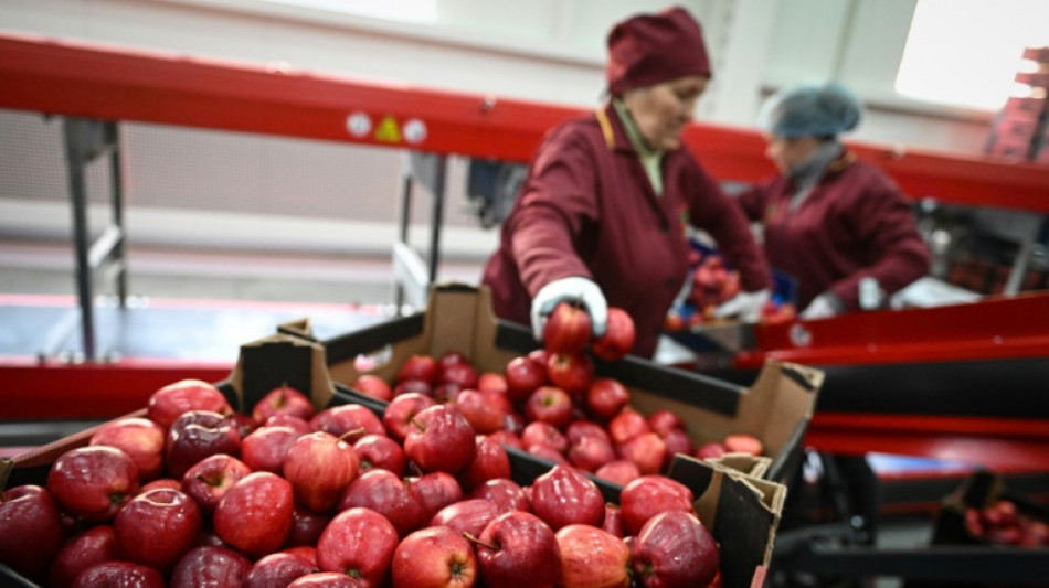 Ukraine war brings bitter harvest to Moldovan orchards