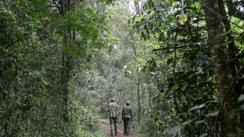 Kenya: le président lève l'interdiction sur l'exploitation forestière