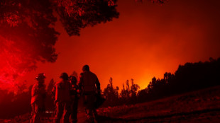 Chile recibe ayuda internacional para combatir incendios que han dejado 26 muertos