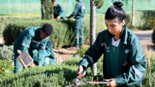 Au Maroc, une école de jardinage fait rimer inclusion et sensibilisation à l'écologie