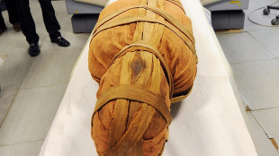 L'odore delle mummie egizie racconta la sfida all'immortalità