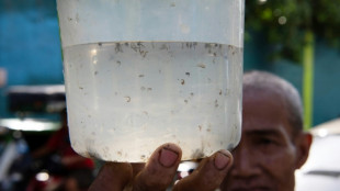 Manila neighbourhood puts bounty on dengue-carrying mosquitoes