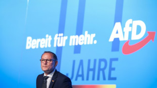 Ermittlungen zu vermeintlicher Attacke auf AfD-Chef Chrupalla eingestellt