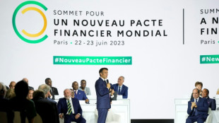 Finance pour le climat: le sommet de Paris s'achève sur des petits pas