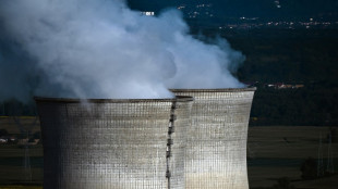 Nucléaire: la réforme décriée de la sûreté définitivement adoptée