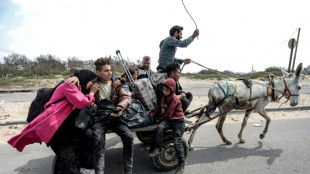 Israel: 20 Hamas-Kämpfer bei Gefechten in Al-Schifa-Krankenhaus getötet