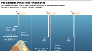 Extraction minière sous-marine: des règles attendues en 2025