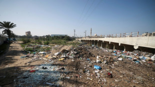 Le Wadi Gaza, de marécage à zone protégée