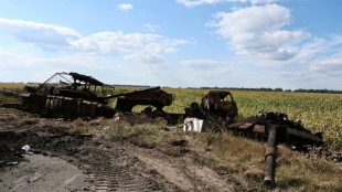 Kiew verstärkt Offensive in russischer Region Kursk - Moskau meldet Einnahme von Dorf