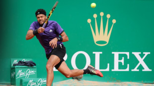 Masters 1000 de Monte-Carlo: Wawrinka et Tsonga invités