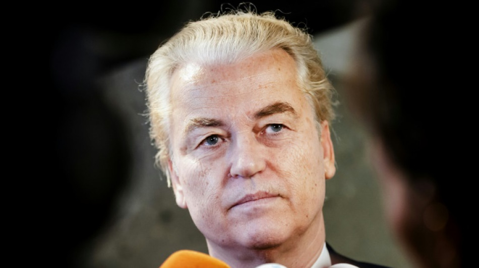 Niederlande: Rechtspopulist Wilders verzichtet auf Amt des Regierungschefs