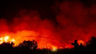 El cambio climático obstaculiza la prevención de incendios en EEUU, según estudio