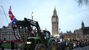 Britische Landwirte protestieren in London gegen Lebensmittelimport