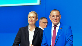 "Es hat gekracht": Weidel räumt bei Parteitag Probleme im EU-Wahlkampf ein