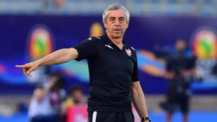 Foot: Alain Giresse nommé sélectionneur du Kosovo