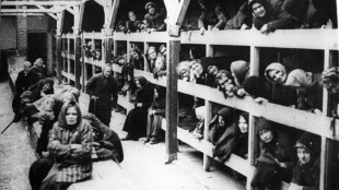 Un arresto a Milano per apologia della Shoah